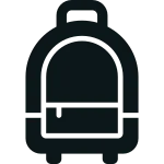 Carry SVG Icon